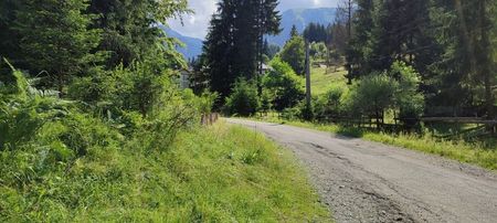 strada Fantana; drum forestier prin apropierea statiunii Borșa
