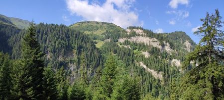 Munții Rodnei