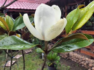 IMG20250727093253