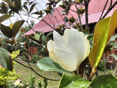 IMG20250727093227