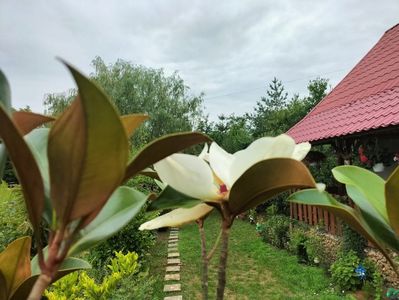 IMG20250717151627