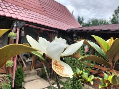 IMG20250717151613