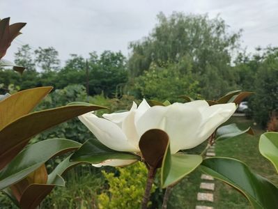 IMG20250717151603