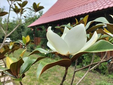 IMG20250729121841