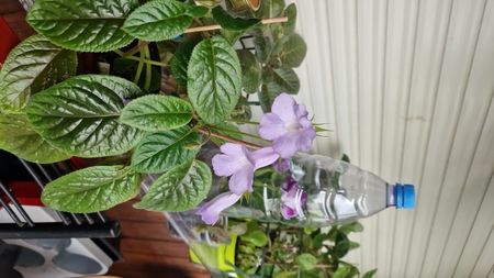 IMG-20250724-WA0075