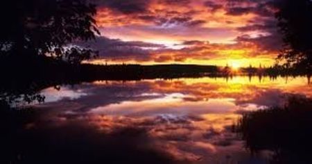 images (11)