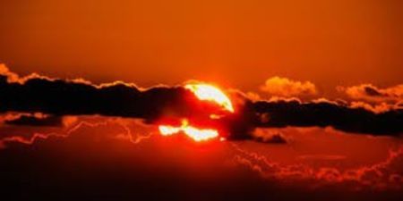 images (7)