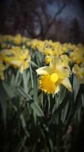 31.03.2025 IMG_9109