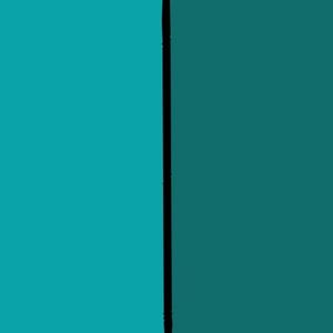 NewCanvas1