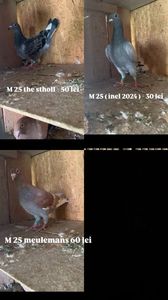 D0D21261-00DB-4D5B-AE44-77D95CECB841