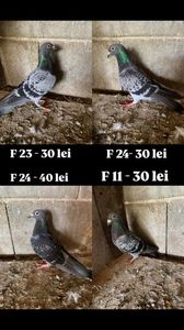 396A8501-F9F6-4589-AF43-50F488A3F801