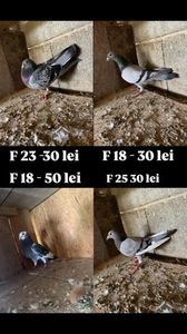3D5330C0-F710-4BA5-A9E9-FA67CC0F8480