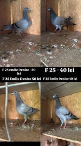 FFA493B4-BEDB-4B67-8125-CB3C425CB2D8