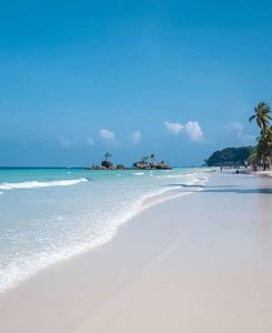 1c31c9b2907fc9384363c133dda350d1