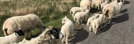 96da6d51ed9154b7fb5ec3142f1c9ba1