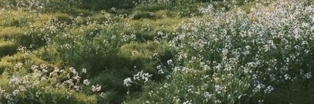 167b689a585d0612c198205fd01ffc17