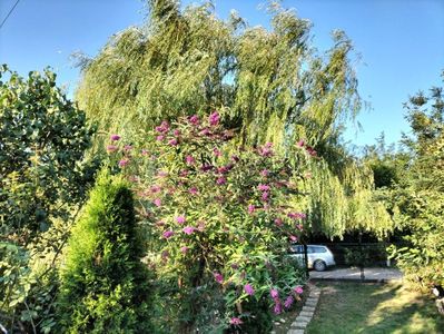 IMG20250811074851
