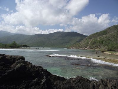 beach-landscape-sea-coast-tree-water-484220-pxhere.com