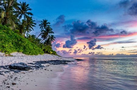 beach-landscape-sea-coast-tree-water-1052474-pxhere.com