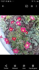 Screenshot_20250424-190736_Photos