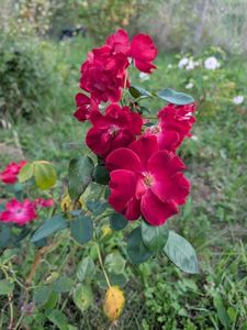 PXL_20250902_160758040