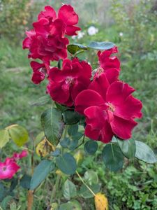 PXL_20250902_160810333