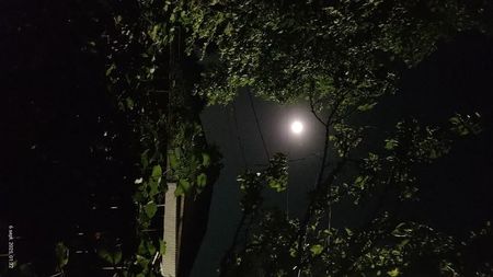 Sub clar de lună ; Noaptea este superb în liniște și sub clar de lună
