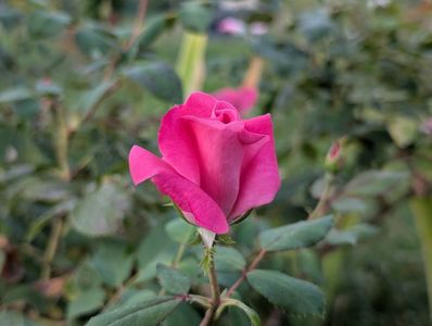 PXL_20250902_160143306