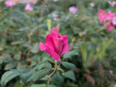 PXL_20250902_160152579