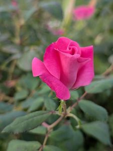 PXL_20250902_160218373