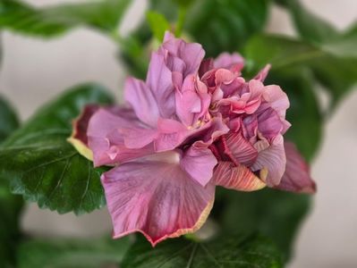 67616292-dd2d-41bf-ac61-b4dfc52c496d