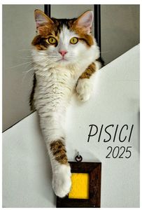 calendar-perete-2025-330x487-Pisici_Page_01