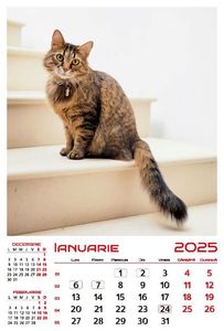 calendar-perete-2025-330x487-Pisici_Page_02