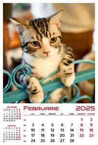 calendar-perete-2025-330x487-Pisici_Page_03