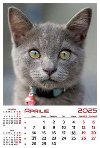 calendar-perete-2025-330x487-Pisici_Page_05