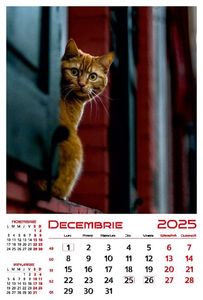 calendar-perete-2025-330x487-Pisici_Page_13