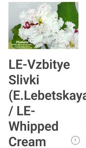 Poza net