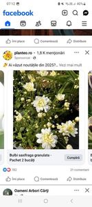 Screenshot_20250920_071222_Facebook