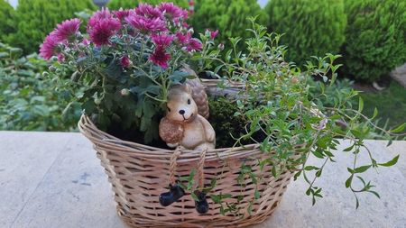 Aranjamente de toamna