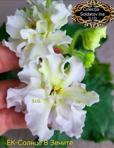 inbound8728709886556446795