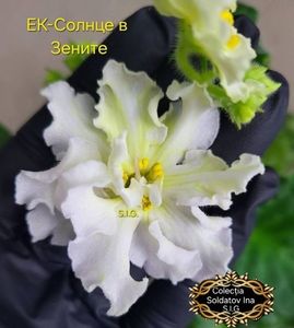 inbound8364913341763871617