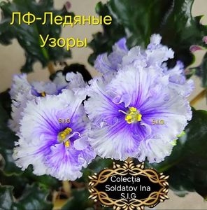 inbound6318956111875529074