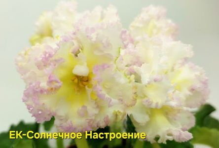 inbound7348365360499728799