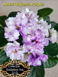 inbound8470943687171076639