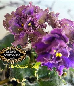 inbound8658811013799703672