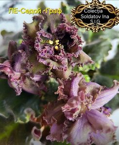 inbound2907880434790392747