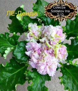 inbound7138861459329411765