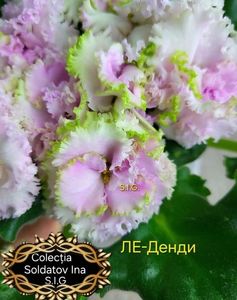 inbound7137531248016337791