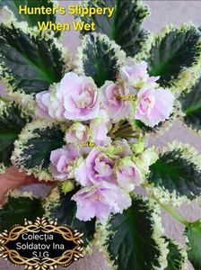 inbound1695860929342287545