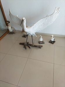 Imagine WhatsApp 2025-05-22 la 11.34.08_94289abe